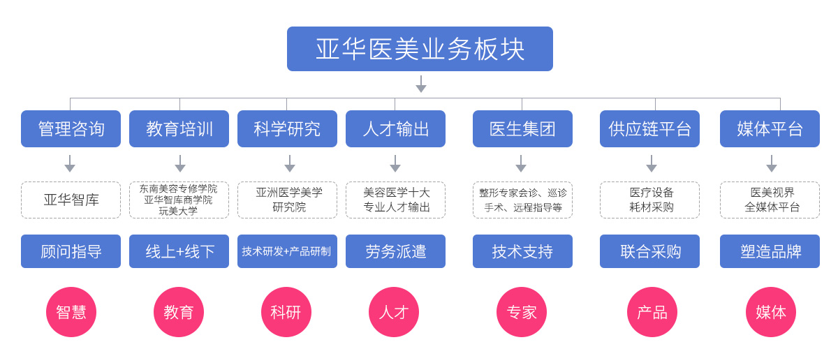 亚华医美业務(wù)结构